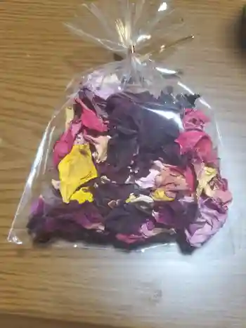 浄光院の御朱印 2023年05月