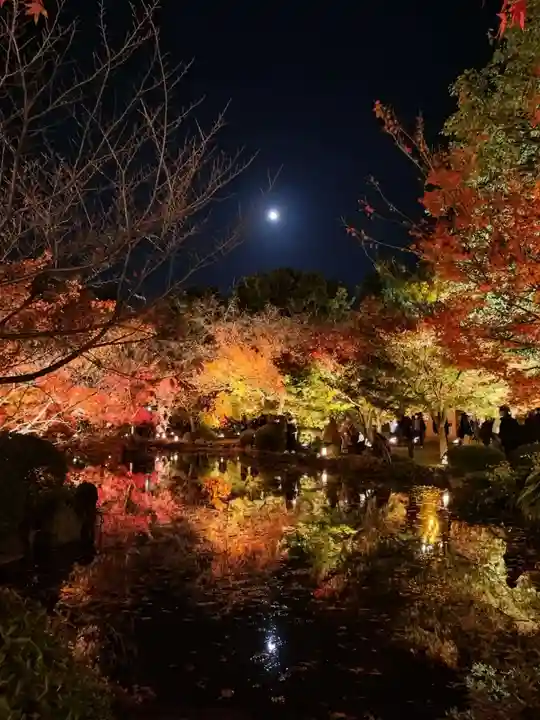 東寺(教王護国寺)(京都府)