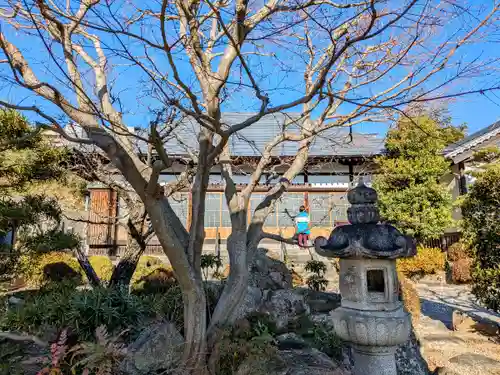 臨江寺の本殿・本堂