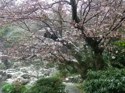 光明寺の庭園