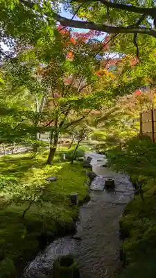 禅林寺(永観堂)(京都府)