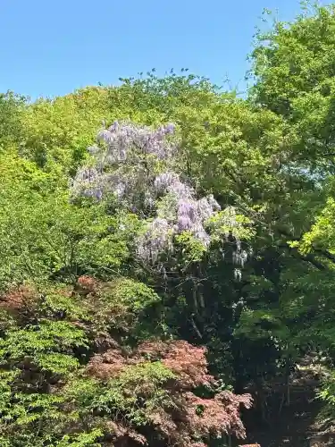 射水神社の自然