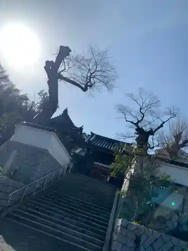 善正寺のその他建物