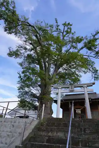 二階堂神社の景色