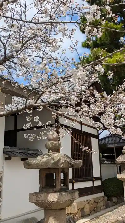 御香宮神社(京都府)