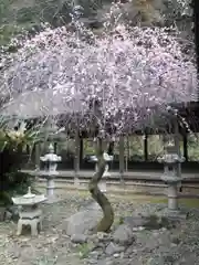 香春神社の自然