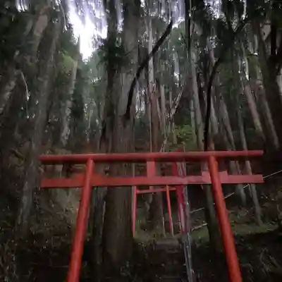 清浄心院の鳥居