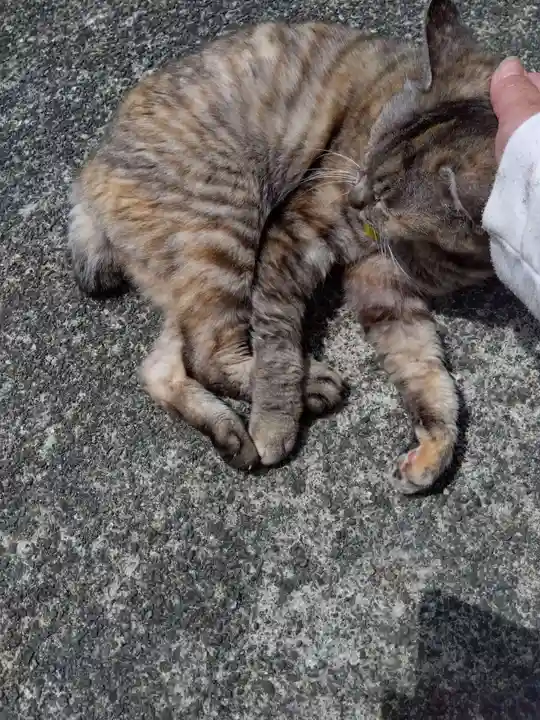 海善寺(静岡県)