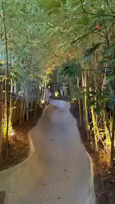 來宮神社(静岡県)