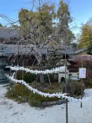 今宮神社のおみくじ