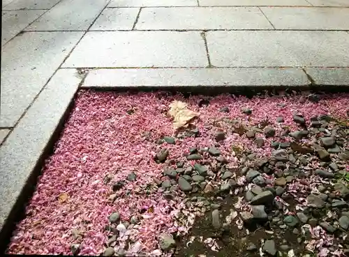 彌彦神社　(伊夜日子神社)の庭園