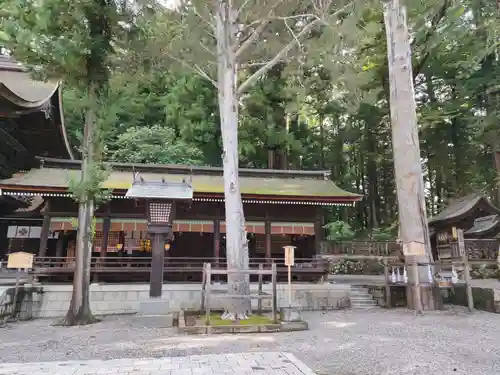 諏訪大社下社秋宮の本殿・本堂