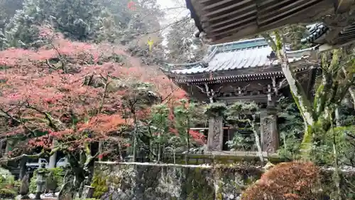 最乗寺（道了尊）(神奈川県)