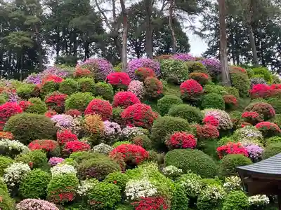 塩船観音寺(東京都)