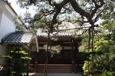 圓光寺(滋賀県)