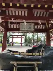 北海道護國神社の手水