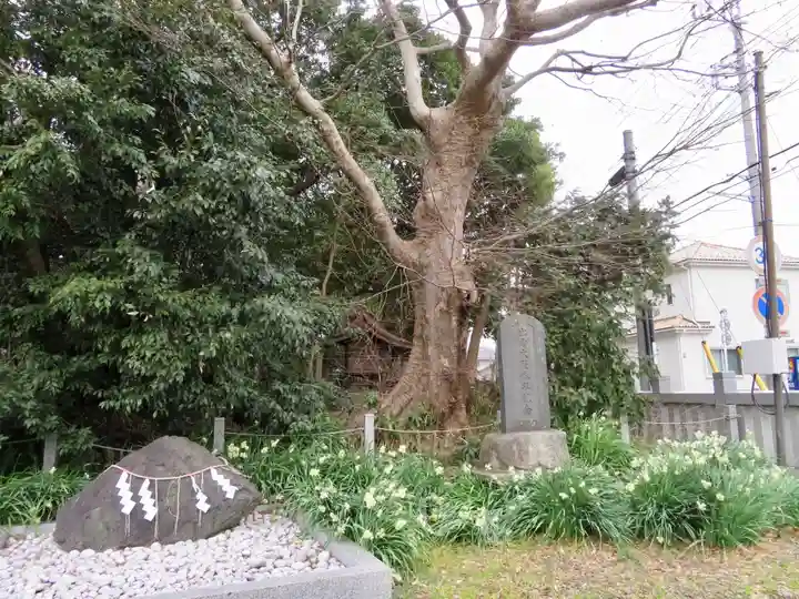 下総国三山 二宮神社のその他建物