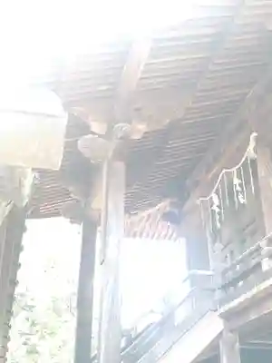 柏島神社の本殿・本堂