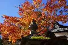 鹿島大神宮の自然