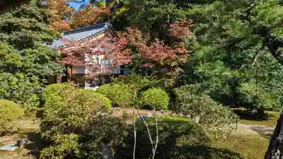隨心院(随心院)(京都府)
