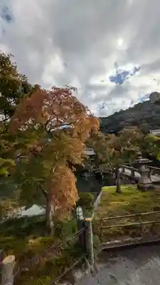禅林寺(永観堂)(京都府)