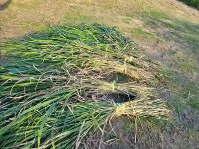 伏木香取神社(茨城県)