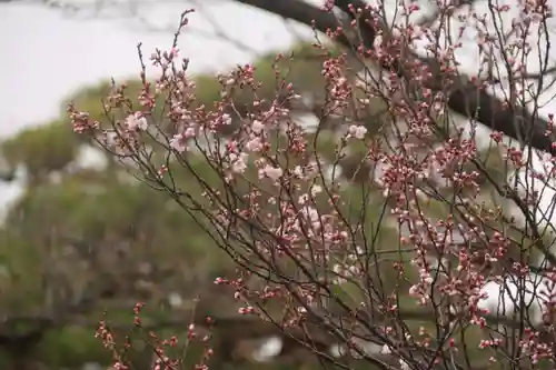 開成山大神宮の庭園