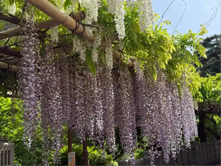 観音山慈眼院(高崎観音)(群馬県)