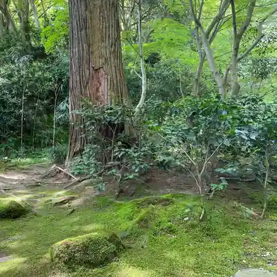 円通院(宮城県)