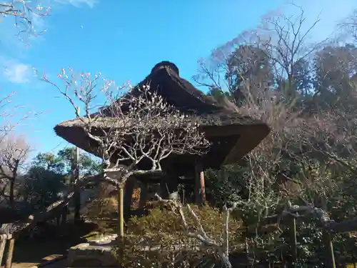 東慶寺の庭園