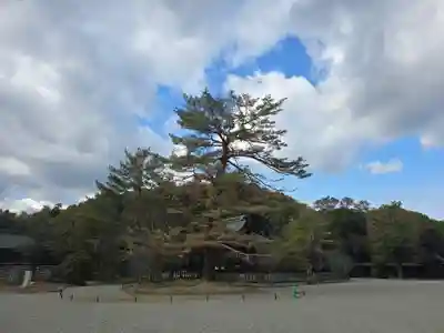 橿原神宮(奈良県)