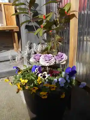 高司神社〜むすびの神の鎮まる社〜(福島県)