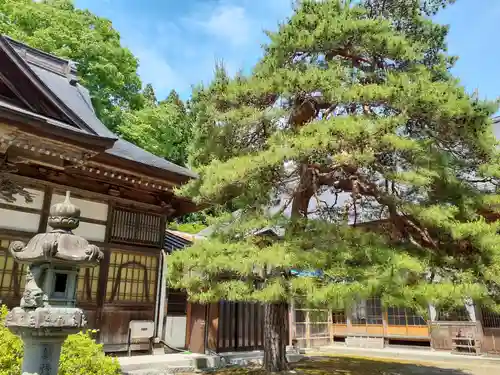 浄光寺(岩手県)
