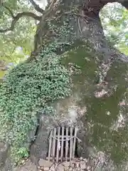 糸碕神社(広島県)