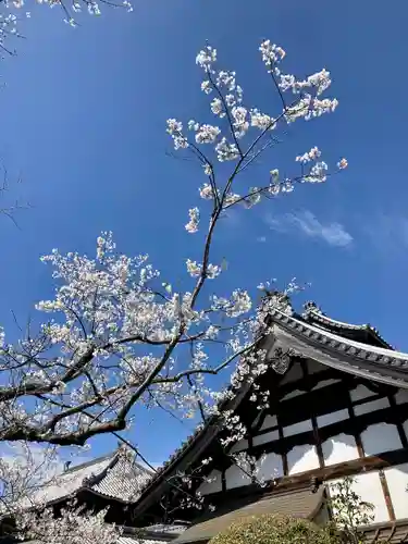 興禅寺(愛知県)