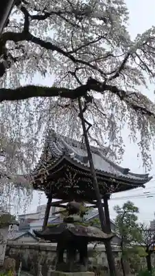円明寺の{uncategorized: "未分類", other: "その他", undefined: "問題あり", building: "その他建物", grave: "お墓", sacred_gate: "鳥居", guardian: "狛犬", statue: "像", buddha: "仏像", history: "歴史", nature: "自然", garden: "庭園", animal: "動物", pagoda: "塔", temizu: "手水舎", mountain_gate: "山門・神門", sanctuary: "本殿・本堂", subordinate: "末社・摂社", art: "芸術", scenery: "景色", jizo: "地蔵", ema: "絵馬", goshuin: "御朱印", omikuji: "おみくじ", items: "授与品その他", amulet: "お守り", goshuincho: "御朱印帳", eats: "食事", festival: "お祭り", votive_dance: "神楽", shichigosan: "七五三参", wedding: "結婚式", experience: "体験その他", initially: "初詣", around: "周辺", anti_infection: "感染症対策"}