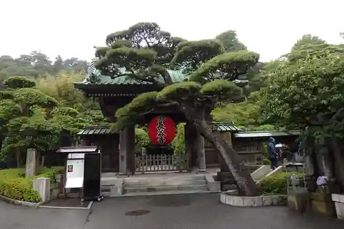 長谷寺の山門・神門