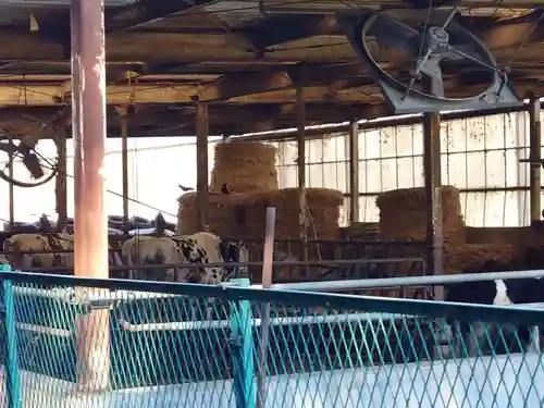 秋葉神社(埼玉県)