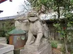 筑土八幡神社の狛犬