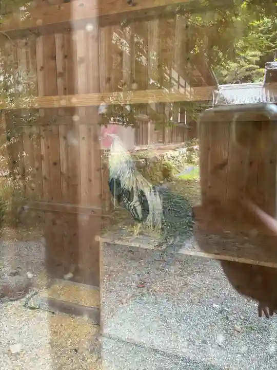 満光寺(愛知県)