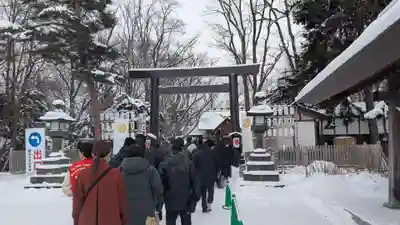 旭川神社の初詣