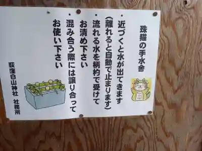 荻窪白山神社(東京都)