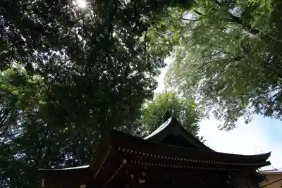 熊野福藏神社の本殿・本堂