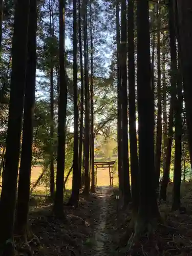 白山神社の鳥居