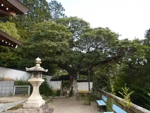 鶴崎神社(岡山県)