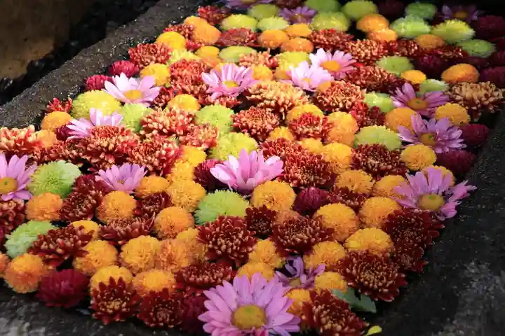 大鏑神社の手水舎