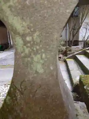 駒形神社(箱根神社摂社)(神奈川県)