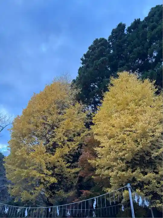 香取神宮(千葉県)
