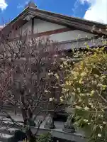 修禅寺(静岡県)