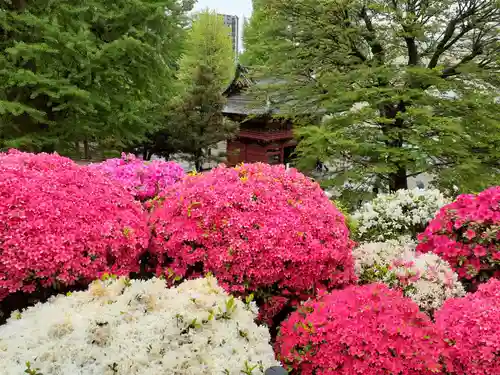 根津神社の庭園